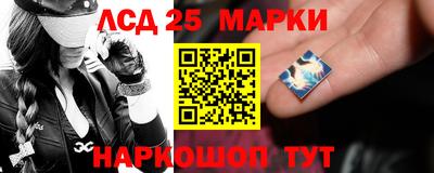 a pvp Камышлов