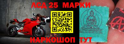 a pvp Камышлов