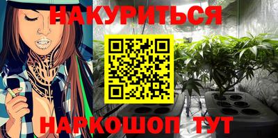 a pvp Камышлов