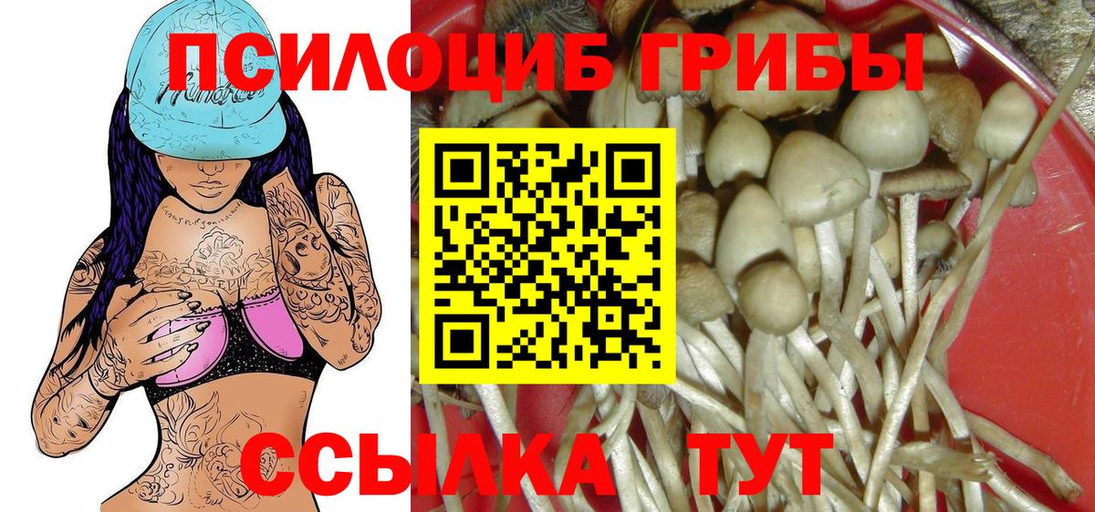 Псилоцибиновые грибы мицелий Гай