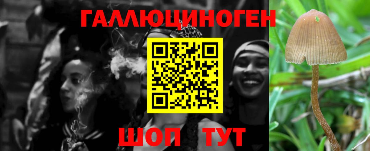 Галлюциногенные грибы мухоморы  Вход с VPN  Гай 